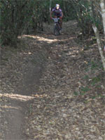 gal/2007/11 - La Via delle Miniere - la discesa delle Carbonaie/_thb_pc-070.jpg